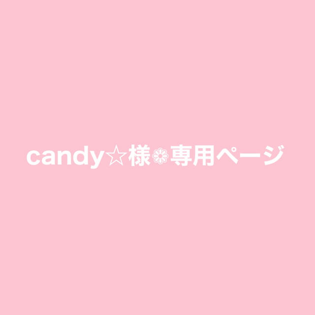 candy☆様 ❁ 専用ページ エンタメ/ホビーのおもちゃ/ぬいぐるみ(キャラクターグッズ)の商品写真