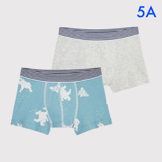 プチバトー(PETIT BATEAU)の新品未使用  プチバトー  トランクス   2枚組  5ans(下着)