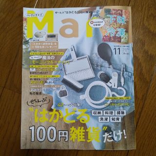 コウブンシャ(光文社)のバッグinサイズ Mart (マート) 2020年 11月号(生活/健康)