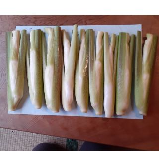 マコモダケ　60サイズ  約1.6～2キロ　(野菜)