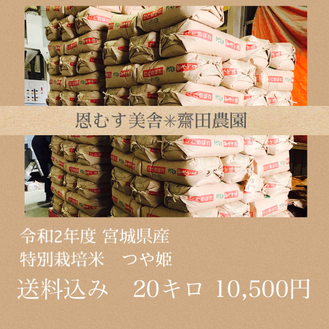 新米✼つやと香り✼宮城県産特別栽培米つや姫20キロのサムネイル