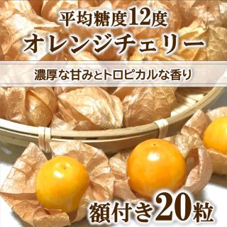 【期間限定】オレンジチェリー(フルーツほおずき)  20粒 無農薬 青森県産(野菜)