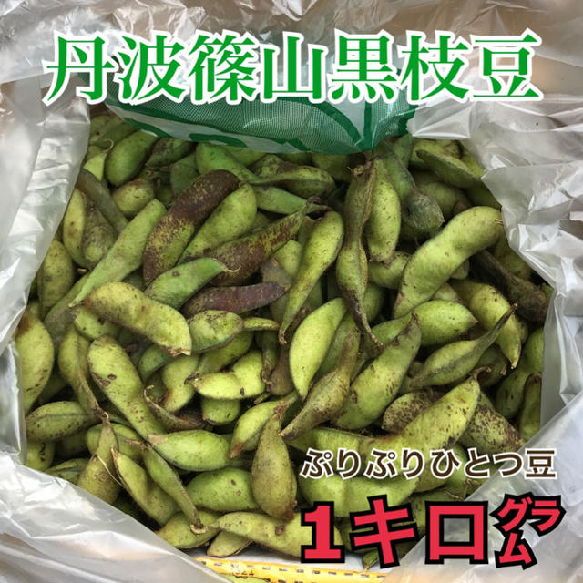 丹波篠山黒枝豆　一粒さや豆　1キログラム　ぷりぷりです★ 食品/飲料/酒の食品(野菜)の商品写真