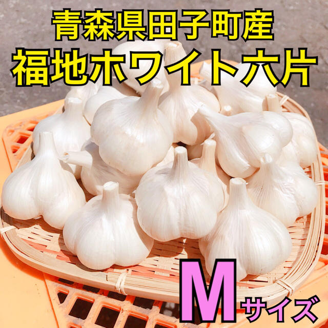 【福地ホワイト六片】青森県田子町産にんにく 約1kg Mサイズ 2020年産 食品/飲料/酒の食品(野菜)の商品写真