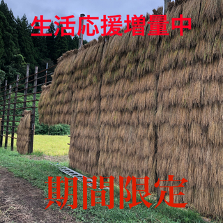 新潟県産はさ掛け米コシヒカリ(米/穀物)