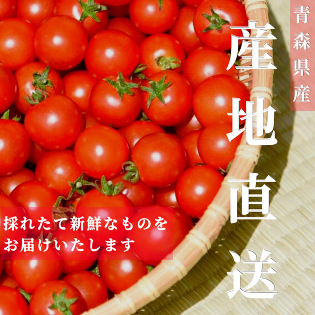 ミニトマト 1kg  [農学博士のDr.トマト] 採れたて☘️産地直送いたします 食品/飲料/酒の食品(野菜)の商品写真