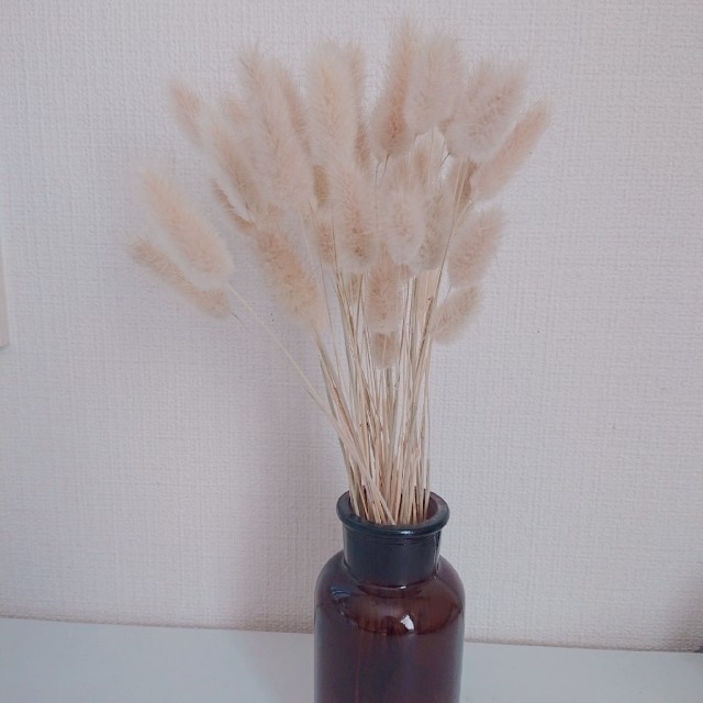 ALEXIA STAM(アリシアスタン)のラグラス✳ドライフラワー✳花材✳インテリアにも インテリア/住まい/日用品のインテリア小物(花瓶)の商品写真