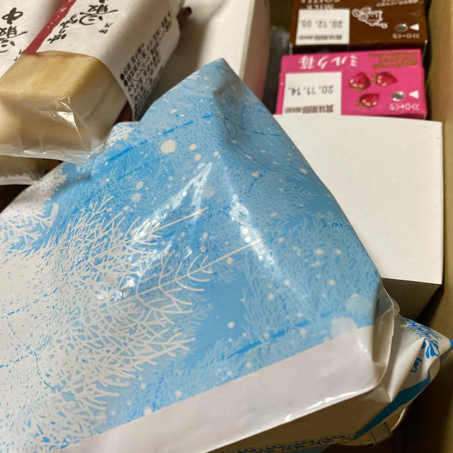 れおんちゃん 確認用 1