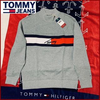 トミーヒルフィガー(TOMMY HILFIGER)のシグネチャーロゴコットンスウェット　表示サイズS　グレー　大きめ(スウェット)