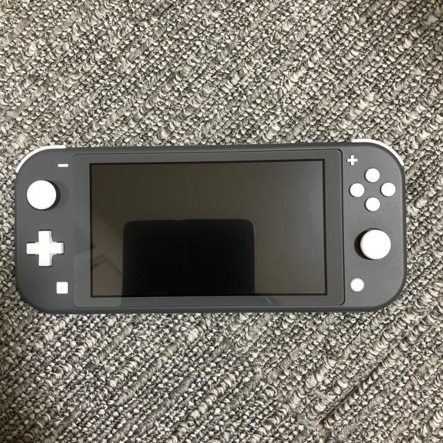 Nintendo Switch Liteグレー - www.sorbillomenu.com