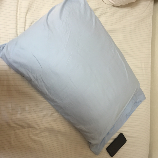 Ralph Lauren(ラルフローレン)の新品ラルフローレン枕カバー インテリア/住まい/日用品の寝具(枕)の商品写真