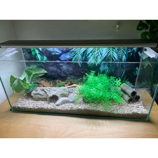 水槽セット　　熱帯魚　アクアリウムなどに(アクアリウム)