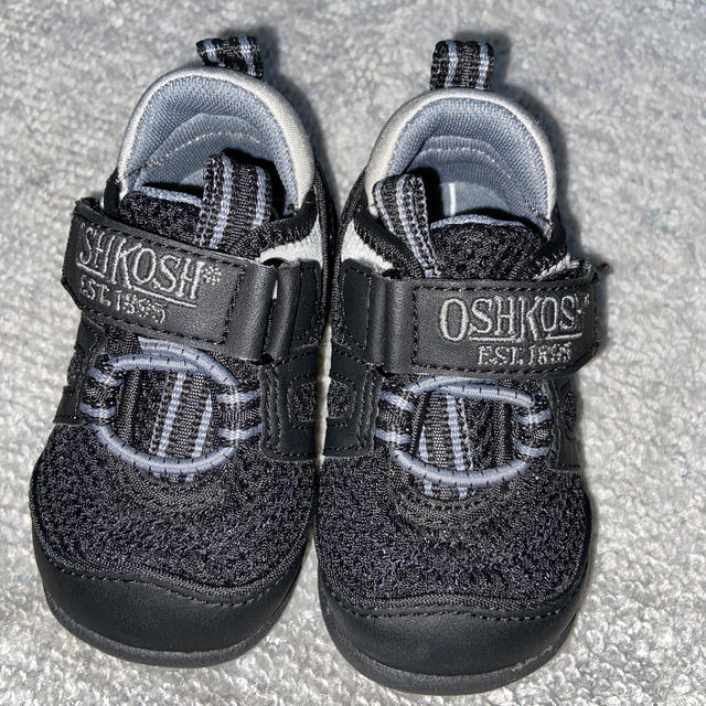 OshKosh(オシュコシュ)のベビースニーカー12センチ キッズ/ベビー/マタニティのベビー靴/シューズ(~14cm)(スニーカー)の商品写真