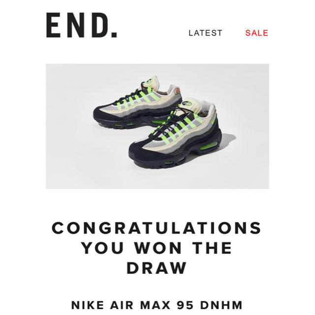 NIKE(ナイキ)のNIKE×DENHAM AIR MAX95 DMHM 23.5cm デンハム レディースの靴/シューズ(スニーカー)の商品写真