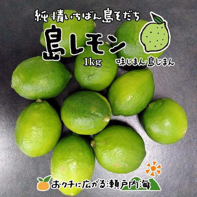 希望の島 グリーンレモン 1kg 家庭用 愛媛県 中島産 国産レモン 食品/飲料/酒の食品(フルーツ)の商品写真