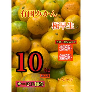 タイムセール 有田みかん　加工用　  特価価格　早い者勝ち　10kg 　みかん(フルーツ)