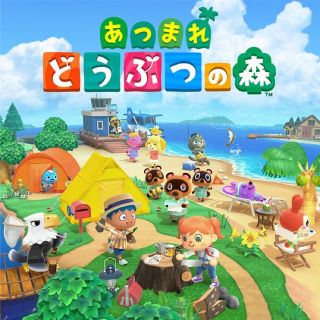 ニンテンドースイッチ(Nintendo Switch)の専用(家庭用ゲームソフト)