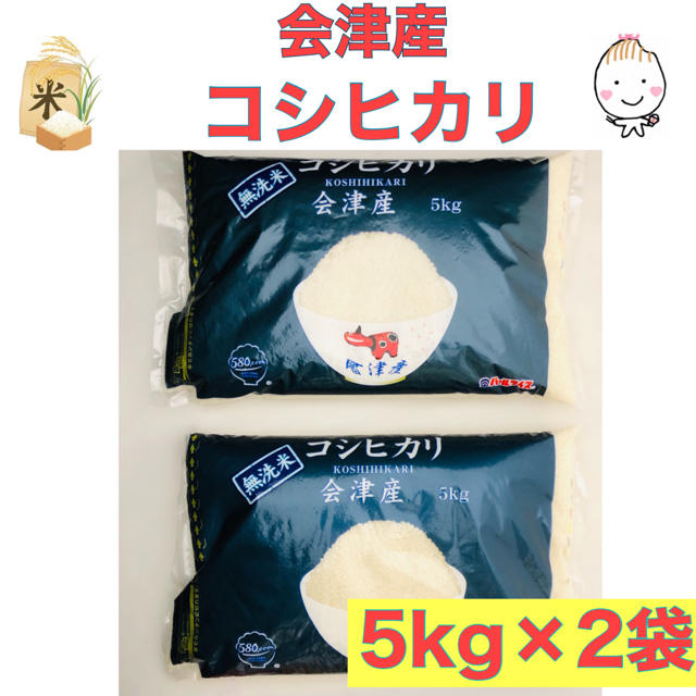 会津産　無洗米　10㎏　パールライス　コシヒカリ　こしひかり　5㎏×2袋》　米/穀物