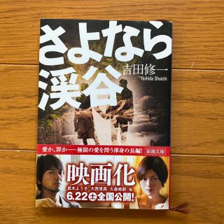 さよなら渓谷(文学/小説)