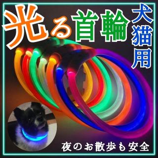 犬猫用　光る首輪　ペット用　夜の散歩　LED　充電式(リード/首輪)