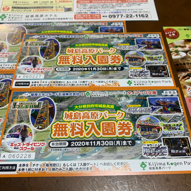 城島高原パーク無料入園券4枚&グルメお得クーポン チケットの施設利用券(遊園地/テーマパーク)の商品写真