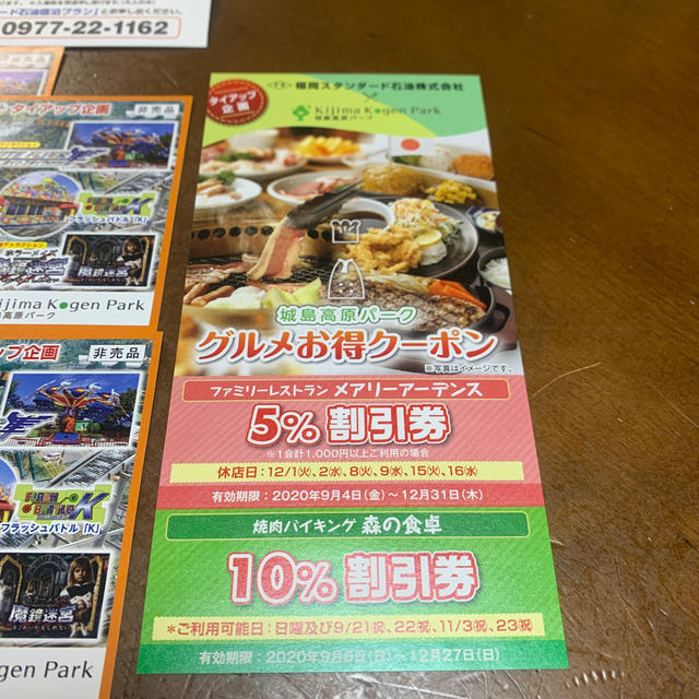 城島高原パーク無料入園券4枚&グルメお得クーポン チケットの施設利用券(遊園地/テーマパーク)の商品写真