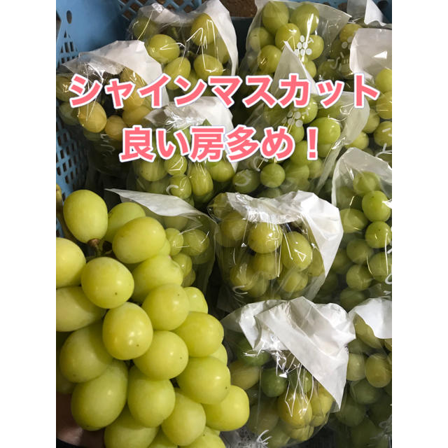 シャインマスカット　甘い黄色い！　４キロ　長野県産　減農薬