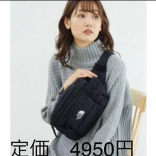 ザノースフェイス(THE NORTH FACE)の【未開封新品】ノースフェイス　ボディーバッグ　5L 黒色　男女兼用　SPINA(ボディーバッグ)