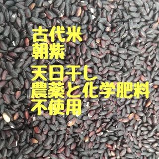 古代米朝紫2キロ(米/穀物)