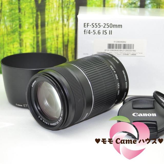 キャノン望遠レンズ☆EF-S 55-250mm手ブレ補正つき☆1211-1 - レンズ