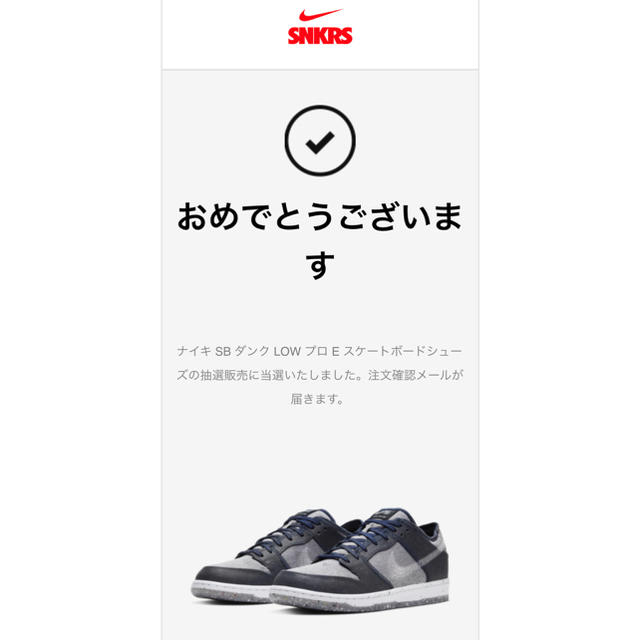 NIKE(ナイキ)のNIKE SB DUNK LOW PRO CT2224-001 26.5cm メンズの靴/シューズ(スニーカー)の商品写真