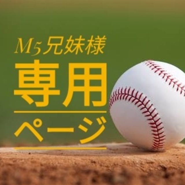 M5兄妹様専用ページ スポーツ/アウトドアの野球(応援グッズ)の商品写真