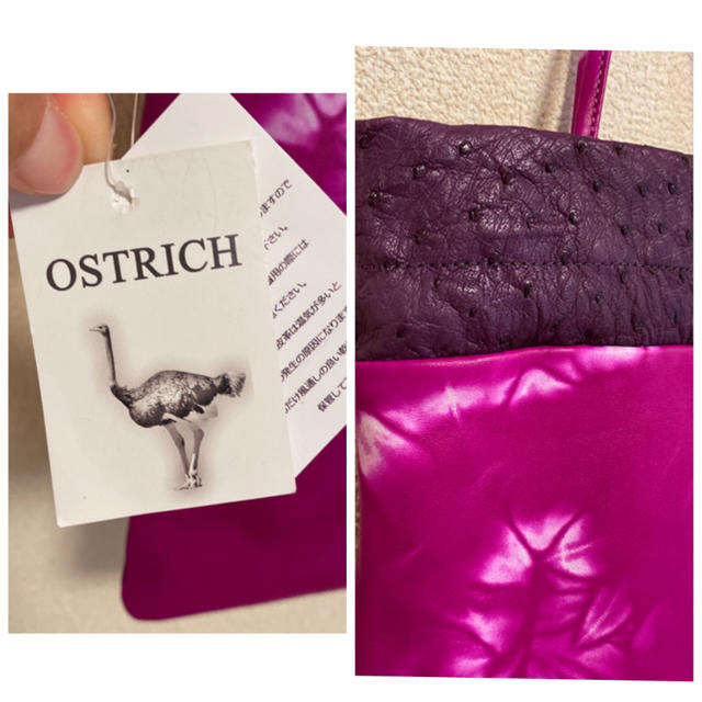 OSTRICH(オーストリッチ)のオーストリッチ ハンドバッグ 巾着 レア レディースのバッグ(ハンドバッグ)の商品写真