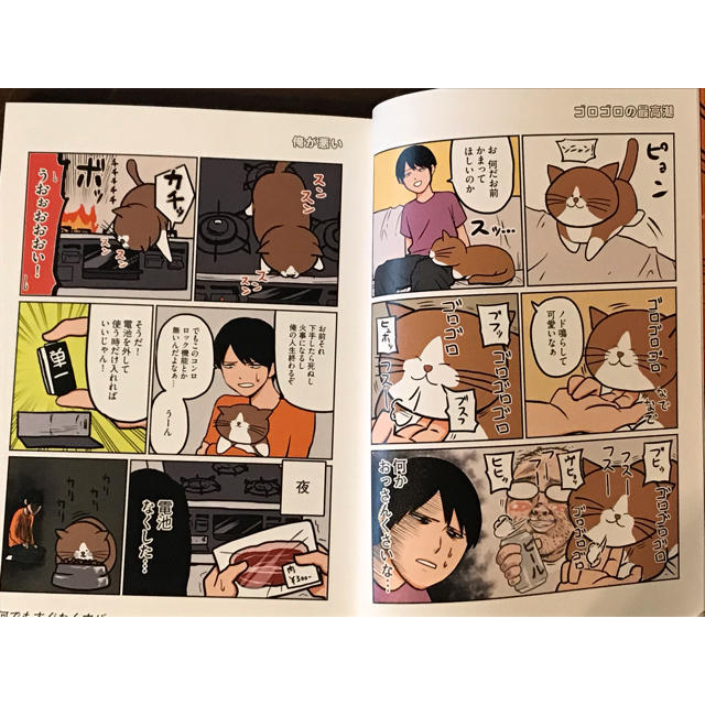 角川書店(カドカワショテン)の鴻池剛と猫のぽんた エンタメ/ホビーの漫画(その他)の商品写真