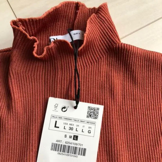 ZARA(ザラ)の新品　ZARA ボリュームスリーブトップス　 レディースのトップス(カットソー(長袖/七分))の商品写真