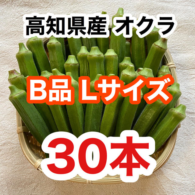 高知県産おくら B品(Lのみ) 30本 即購入OK オクラ 食品/飲料/酒の食品(野菜)の商品写真