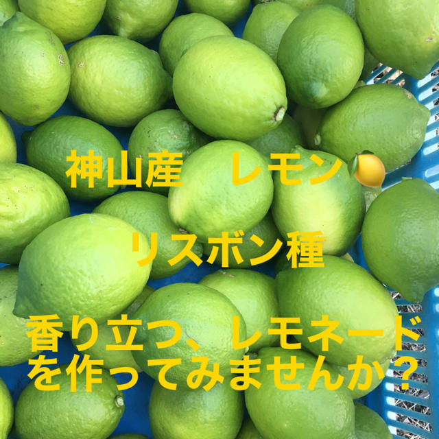 神山産 リスボンレモン 1キロ サイズ バラの通販 By 阿波野菜のお店 Amuse ラクマ 神山産 リスボンレモン 1キロ サイズ バラの通販 By 阿波野菜のお店 Amuse ラクマ