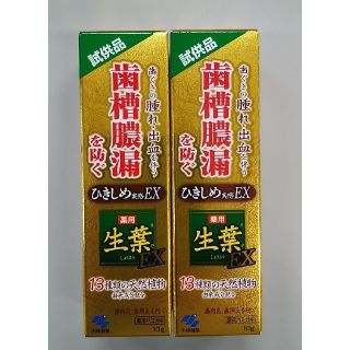 コバヤシセイヤク(小林製薬)の小林製薬　生葉　試供品10g✕2個(歯磨き粉)