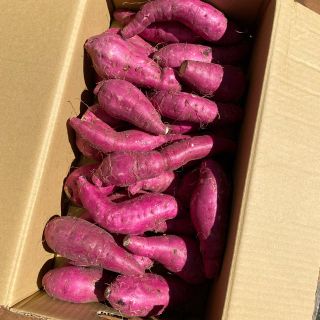 鹿児島県産紅はるか　さつまいも　5キロ　即購入OK！(野菜)