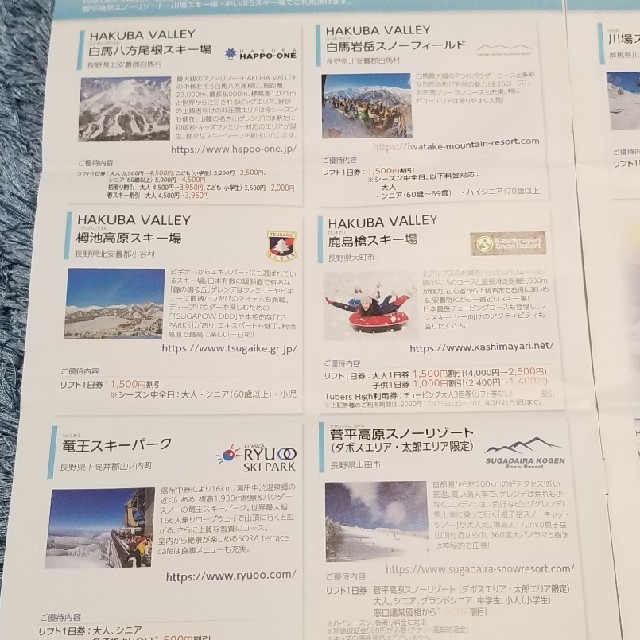 日本スキー場開発　株主優待一冊 チケットの施設利用券(スキー場)の商品写真