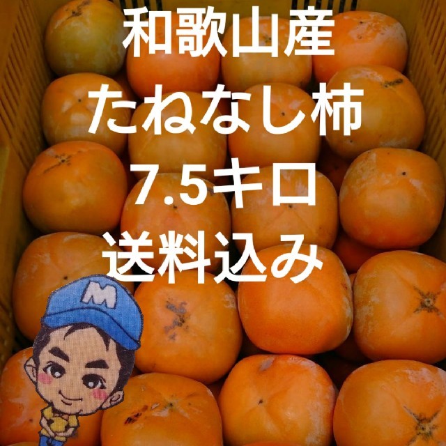 和歌山県紀の川市産 まーくん家のたねなし柿 7.5キロ箱 食品/飲料/酒の食品(フルーツ)の商品写真