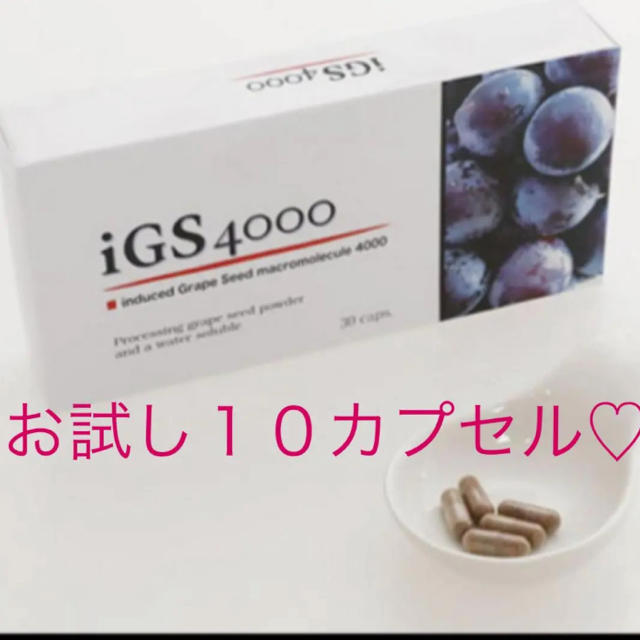 食品/飲料/酒igs4000サプリメント【１０カプセル】 - その他