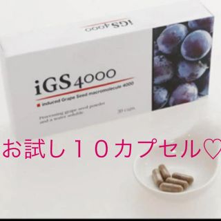 igs4000サプリメント【１０カプセル】(その他)