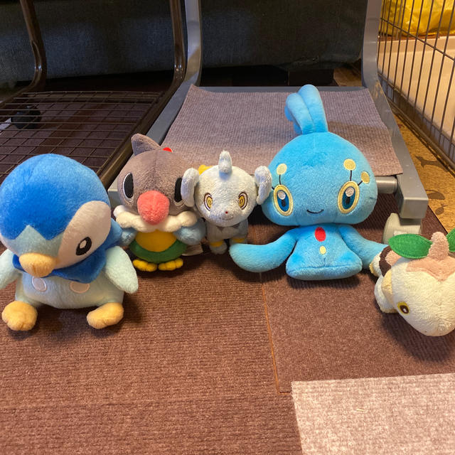 ポケモン(ポケモン)のポケモン ぬいぐるみセット エンタメ/ホビーのおもちゃ/ぬいぐるみ(ぬいぐるみ)の商品写真