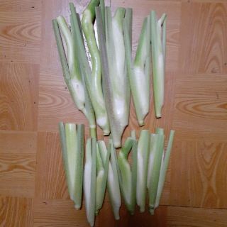 訳有りマコモダケ　ゆうパケット(野菜)