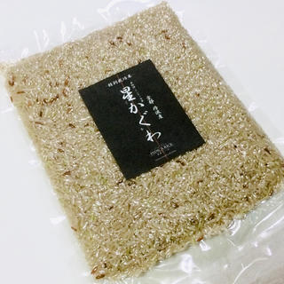ライス(rice)の令和2年産【丹波産】インディカ種 玄米 -特別栽培米-“星かぐわ” 450g(米/穀物)