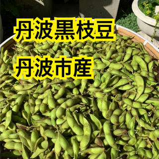 丹波黒枝豆1kg(野菜)
