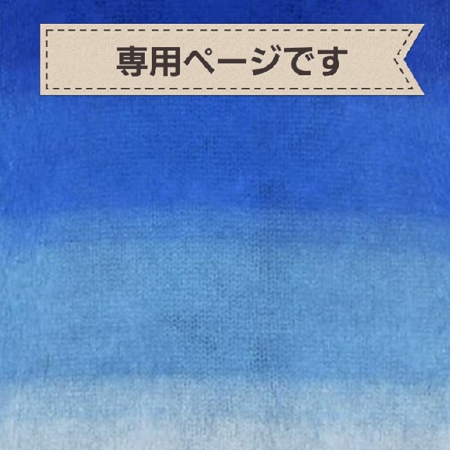 n様専用ページです その他のその他(オーダーメイド)の商品写真