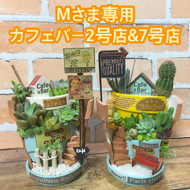 多肉植物の寄せ植え　丘の上のカフェバー2号店&7号店 ハンドメイドのフラワー/ガーデン(その他)の商品写真