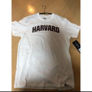 ハーヴァード(HARVARD)のハーバード大学　白Tシャツ　HAVARD(Tシャツ/カットソー(半袖/袖なし))